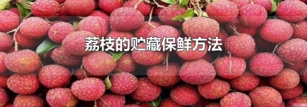 荔枝的贮藏保鲜方法