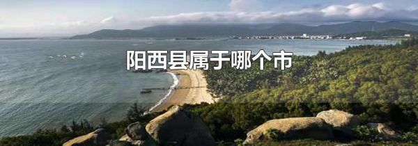 阳西县属于哪个市