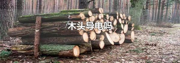 木头导电吗