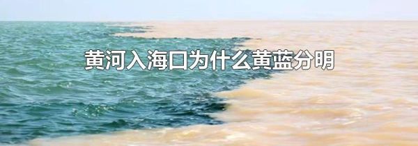 黄河入海口为什么黄蓝分明