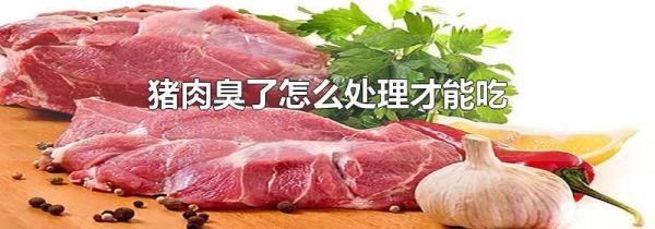 猪肉臭了怎么处理才能吃