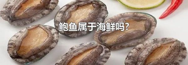 鲍鱼属于海鲜吗?