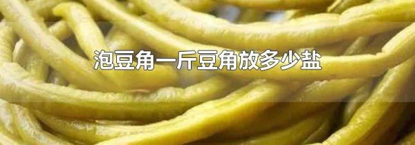 泡豆角一斤豆角放多少盐