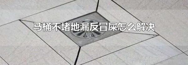 马桶不堵地漏反冒屎怎么解决