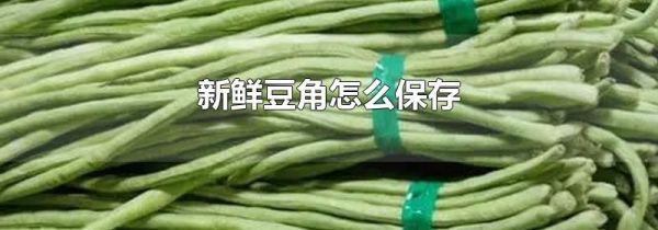新鲜豆角怎么保存