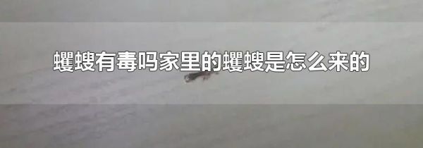 蠼螋有毒吗家里的蠼螋是怎么来的