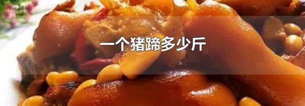 一个猪蹄多少斤