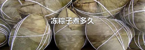 冻粽子煮多久