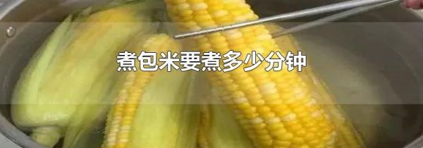 煮包米要煮多少分钟