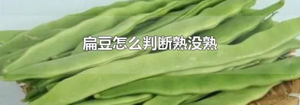 扁豆怎么判断熟没熟