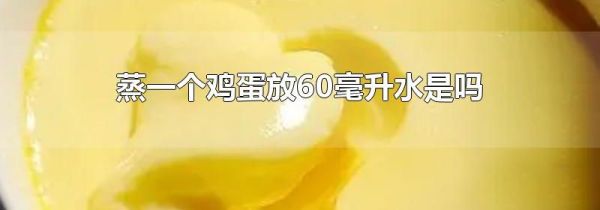 蒸一个鸡蛋放60毫升水是吗