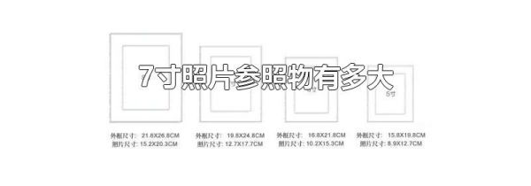 7寸照片参照物有多大