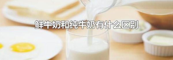 鲜牛奶和纯牛奶有什么区别