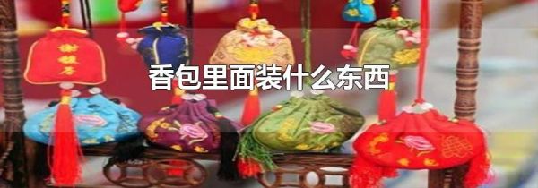 香包里面装什么东西