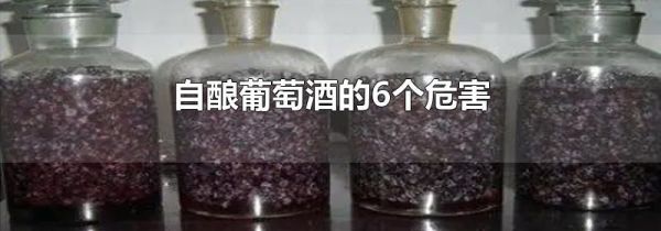 自酿葡萄酒的6个危害