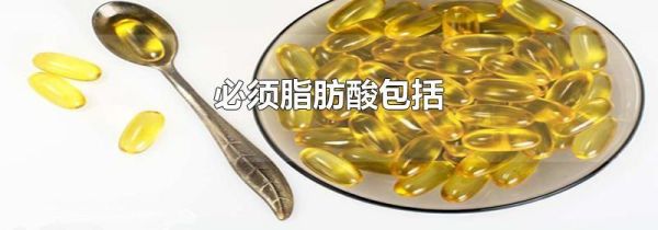 必须脂肪酸包括