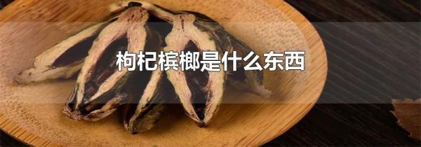 枸杞槟榔是什么东西