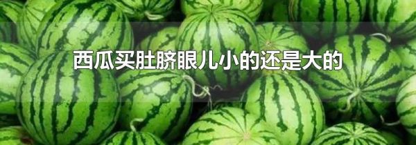 西瓜买肚脐眼儿小的还是大的