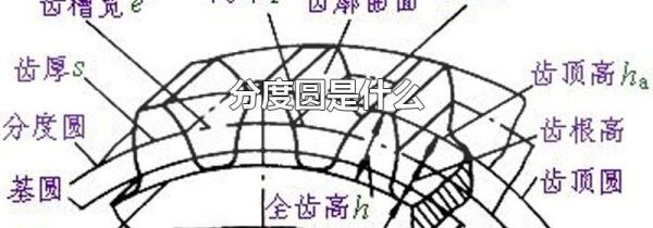 分度圆是什么