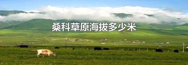 桑科草原海拔多少米