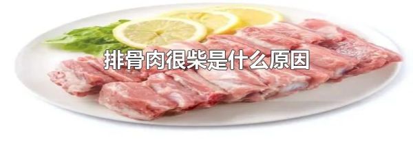 排骨肉很柴是什么原因
