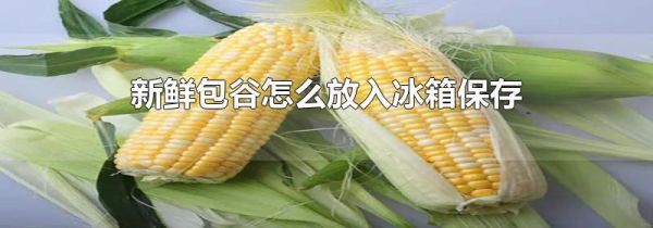 新鲜包谷怎么放入冰箱保存
