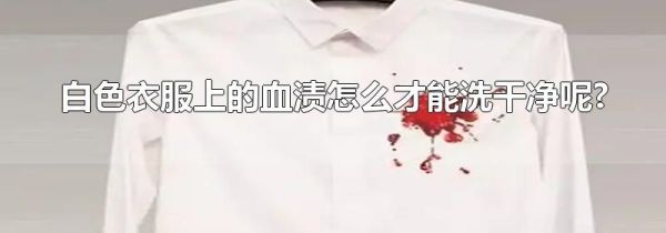 白色衣服上的血渍怎么才能洗干净呢?