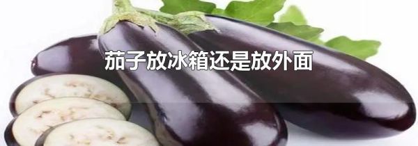 茄子放冰箱还是放外面