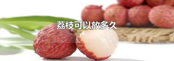 荔枝可以放多久