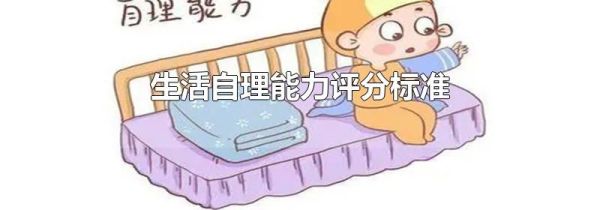 生活自理能力评分标准