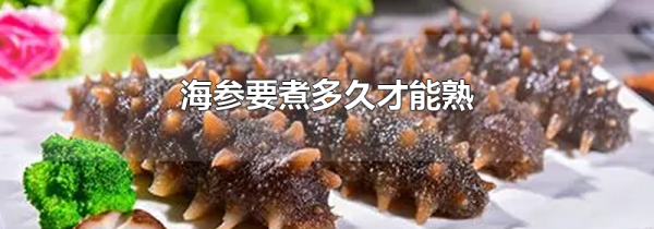 海参要煮多久才能熟