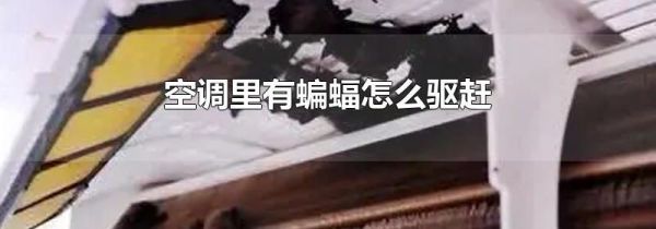 空调里有蝙蝠怎么驱赶