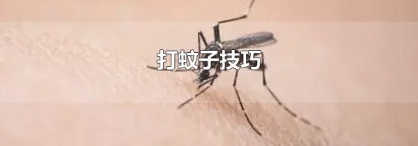 打蚊子技巧