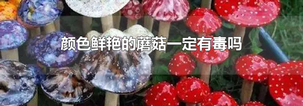 颜色鲜艳的蘑菇一定有毒吗