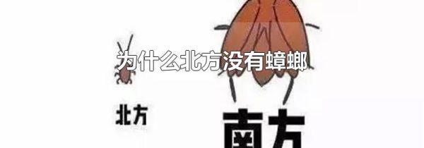 为什么北方没有蟑螂
