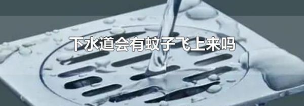 下水道会有蚊子飞上来吗
