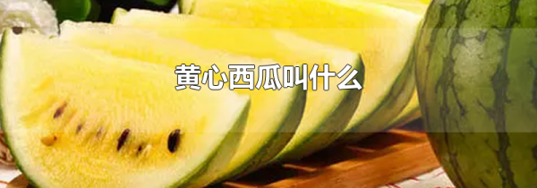 黄心西瓜叫什么