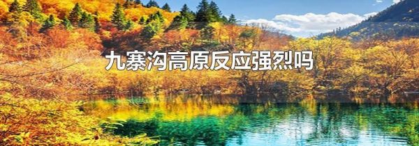 九寨沟高原反应强烈吗