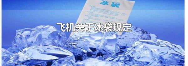 飞机关于冰袋规定