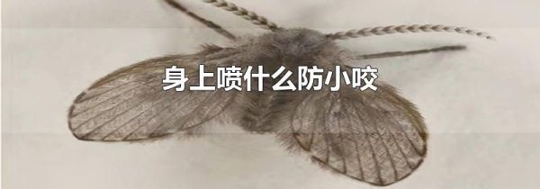 身上喷什么防小咬