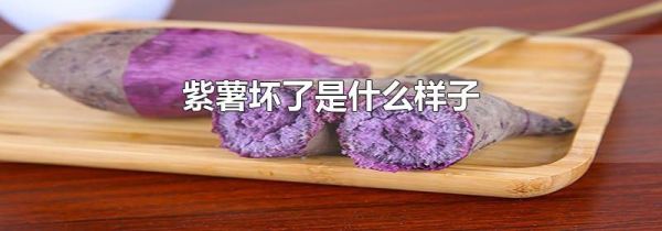 紫薯坏了是什么样子