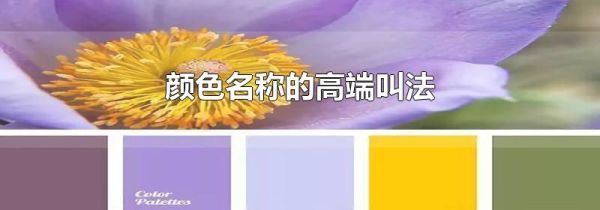 颜色名称的高端叫法