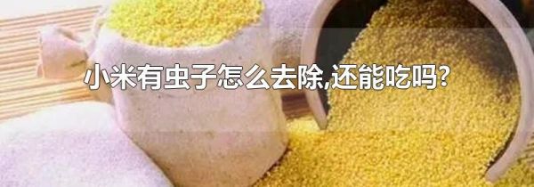 小米有虫子怎么去除,还能吃吗?
