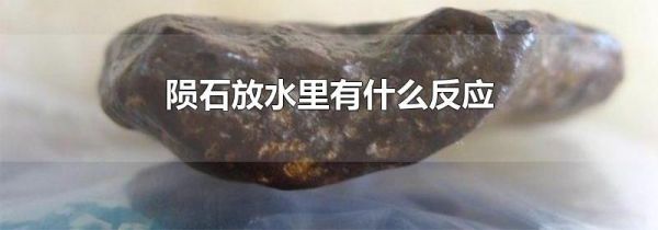 陨石放水里有什么反应