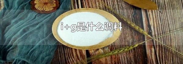 i+g是什么调料