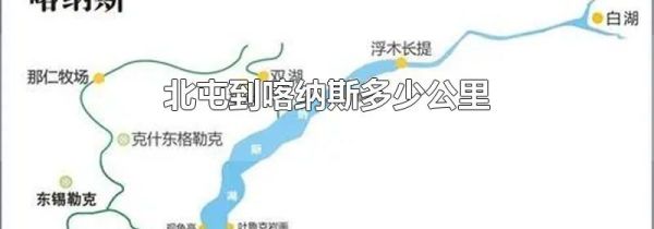 北屯到喀纳斯多少公里