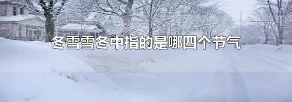 冬雪雪冬中指的是哪四个节气