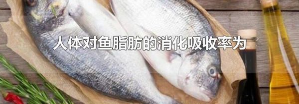 人体对鱼脂肪的消化吸收率为