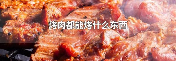 烤肉都能烤什么东西
