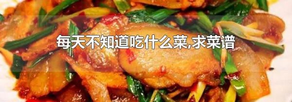每天不知道吃什么菜,求菜谱